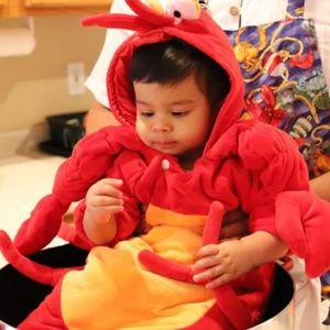 Baby lobster costume, size 6-9 months